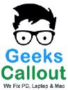 Geeks Callout logo